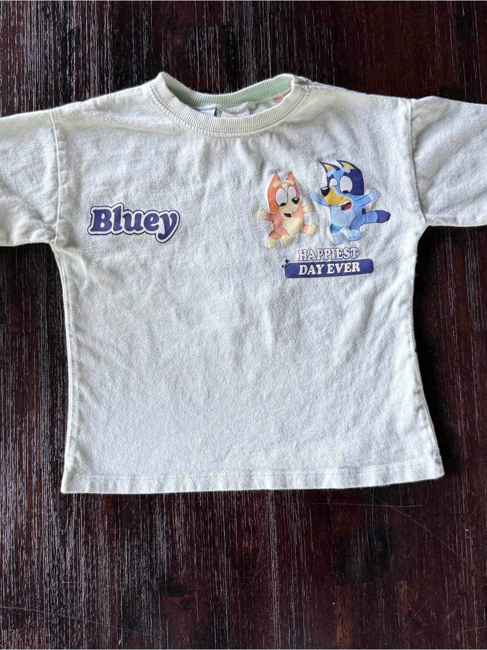 Zara Light Blue “Bluey Happiest Day Ever' Graphic Tee